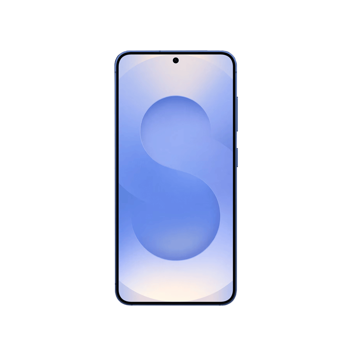 Samsung Galaxy S25 Series Premium Screen Protector