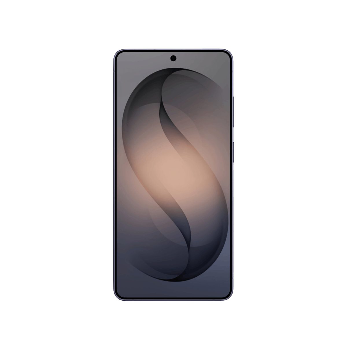 Samsung Galaxy S26 Series Privacy Screen Protector
